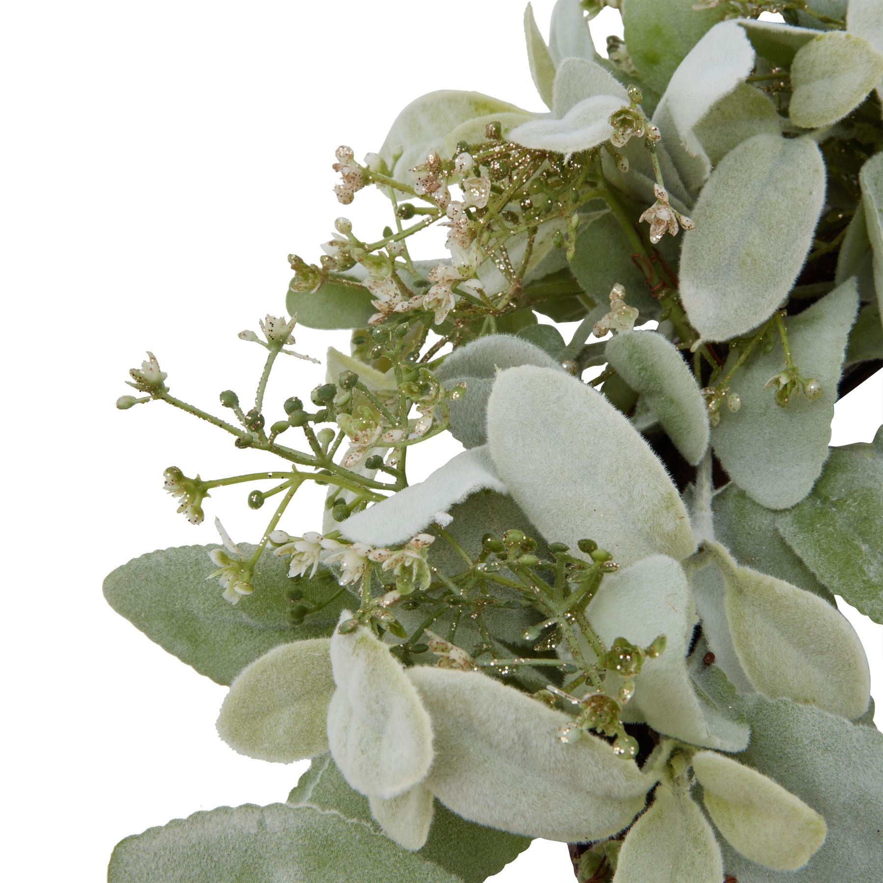 Winter Wreath With Lambs Ear And Wax Flower 2
