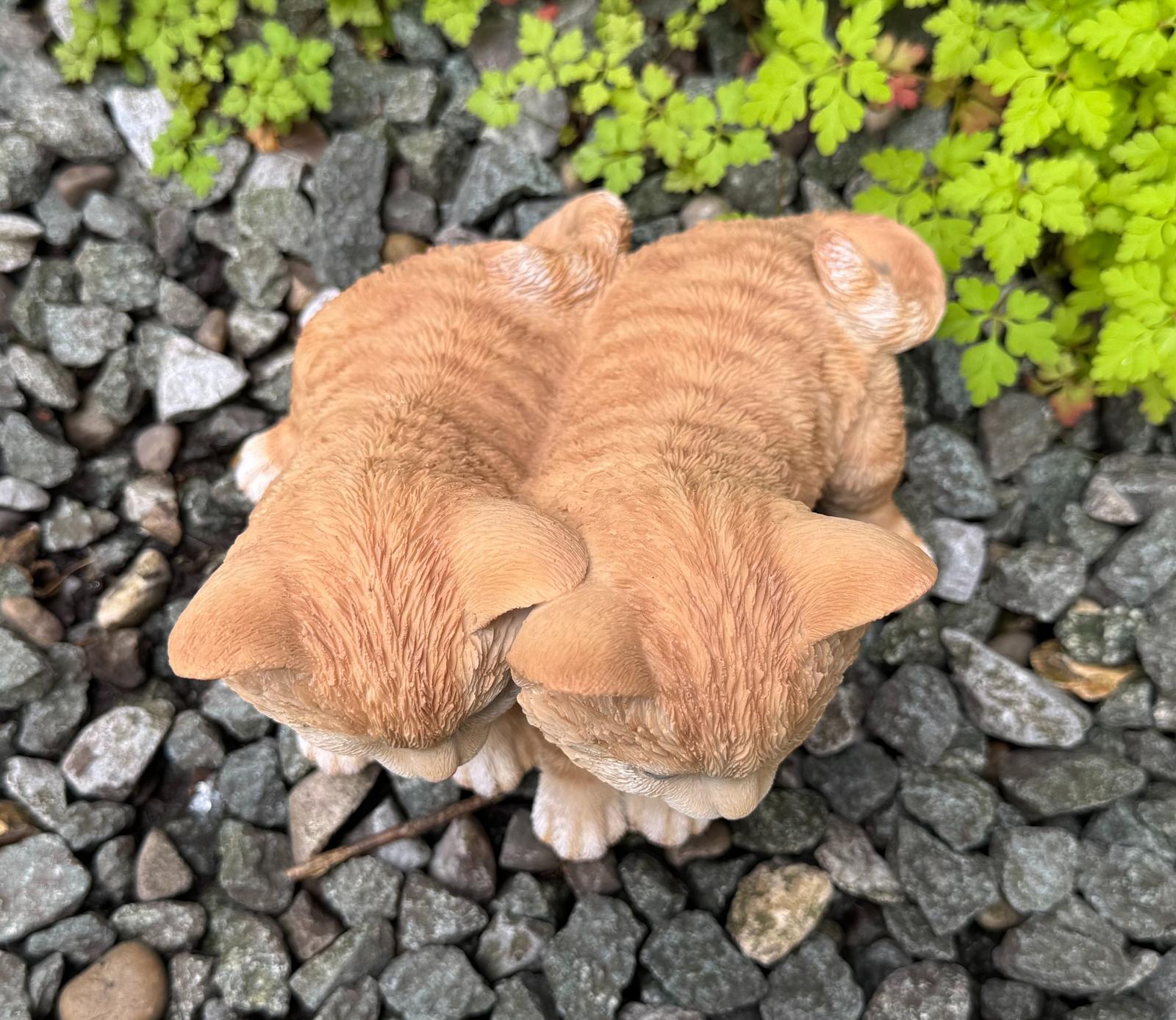 Vivid Arts Playful Ginger Kittens Ornament 5