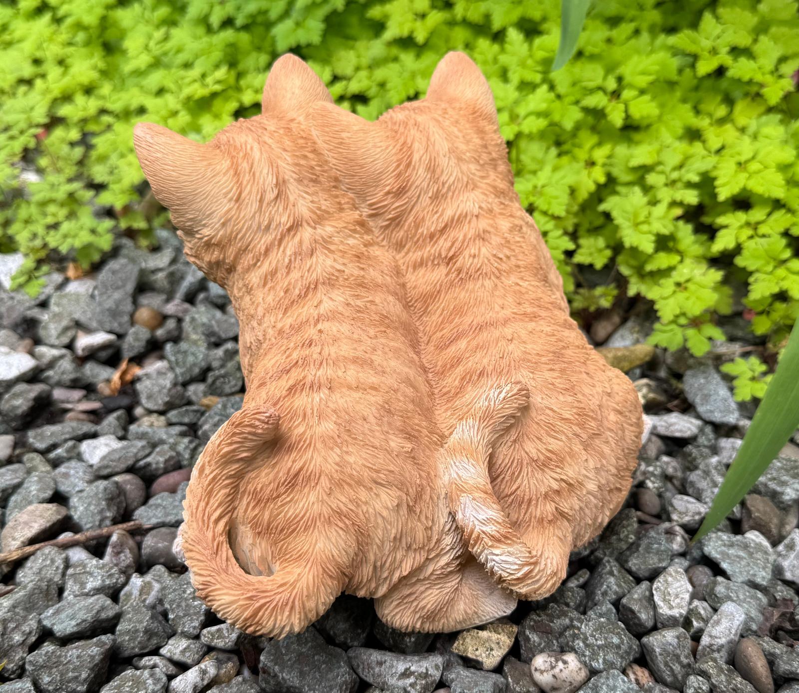 Vivid Arts Playful Ginger Kittens Ornament 4